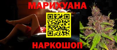 прущие грибы Нальчик