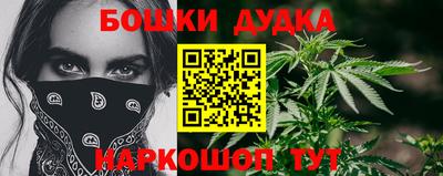 прущие грибы Нальчик