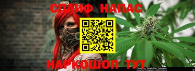 прущие грибы Нальчик