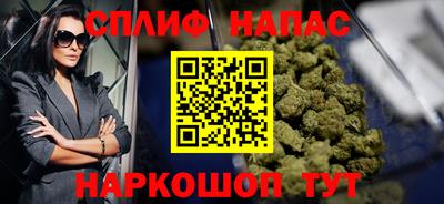 прущие грибы Нальчик