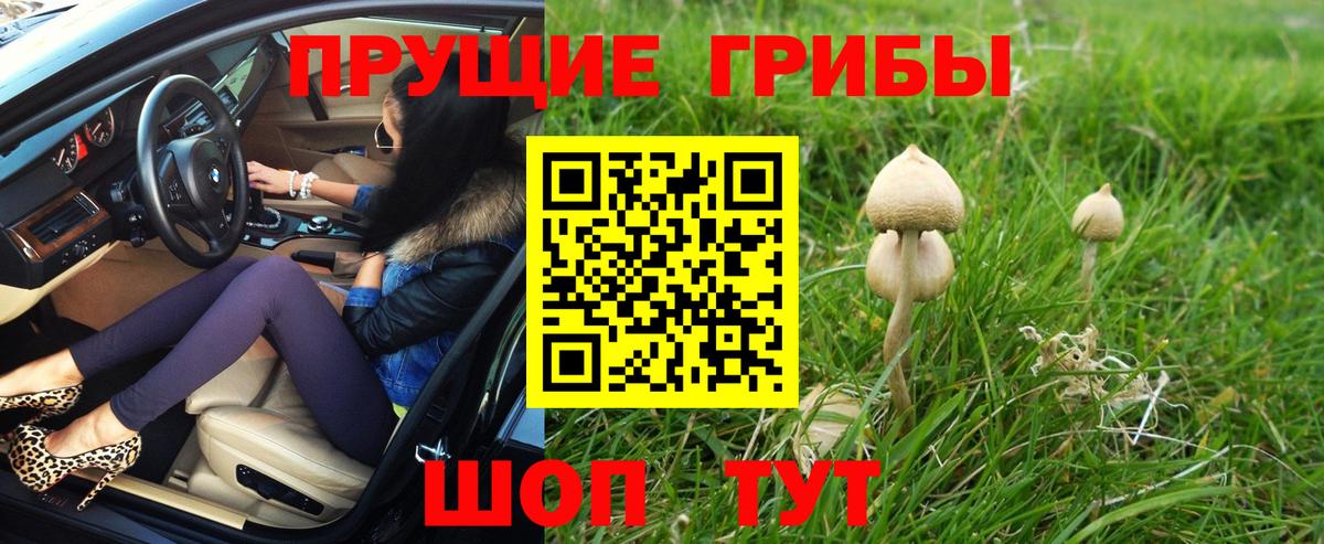 Галлюциногенные грибы мухоморы Усть-Джегута