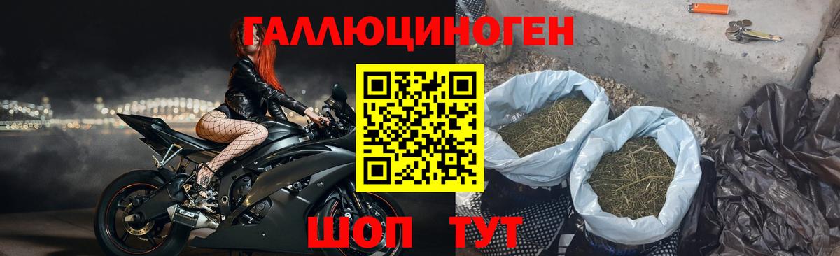 Галлюциногенные грибы Cubensis  где найти   Усть-Джегута  Вход с VPN 